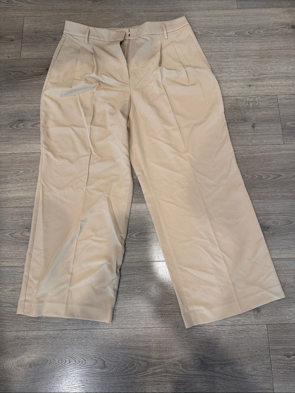 Ann Taylor Men's Pleated Dress Pants in Beige
